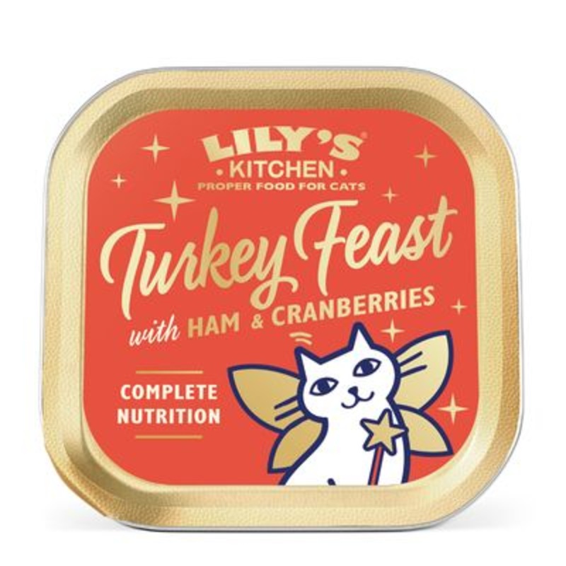 Lily's Kitchen Christmas Turkey Feast 19 x 85g