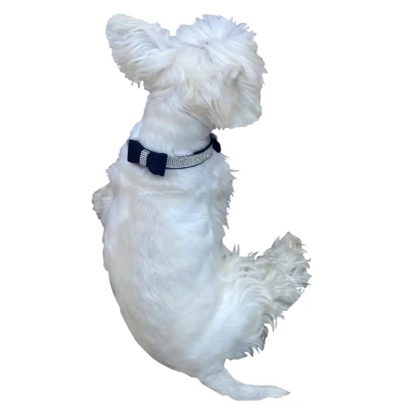 The Dog Squad Rhinestone Dog Collar with Bow - Black