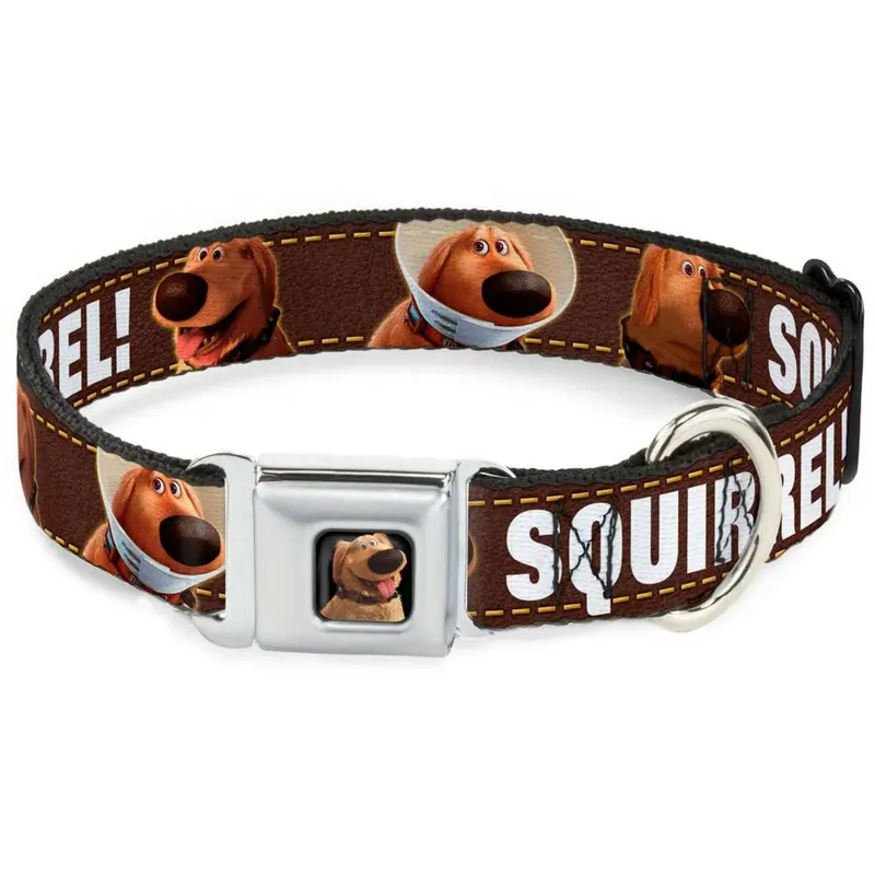 Dug Squirrel! Seatbelt Buckle Dog Collar by Buckle-Down