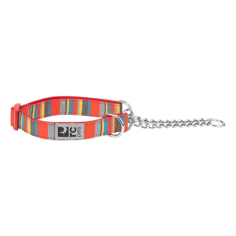 RC Pet Martingale Dog Training Collar - Multi Stripes