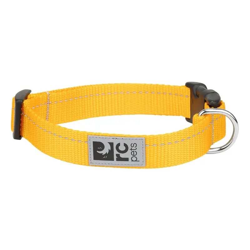 RC Pet Primary Clip Dog Collar - Marigold