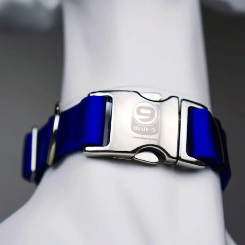 Blue-9 Secure Pro Dog Collar - Blue