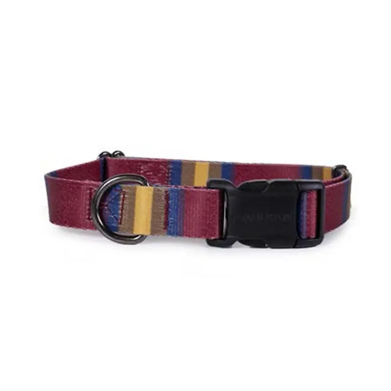 Pendleton Pet Zion National Park Adventure Dog Collar