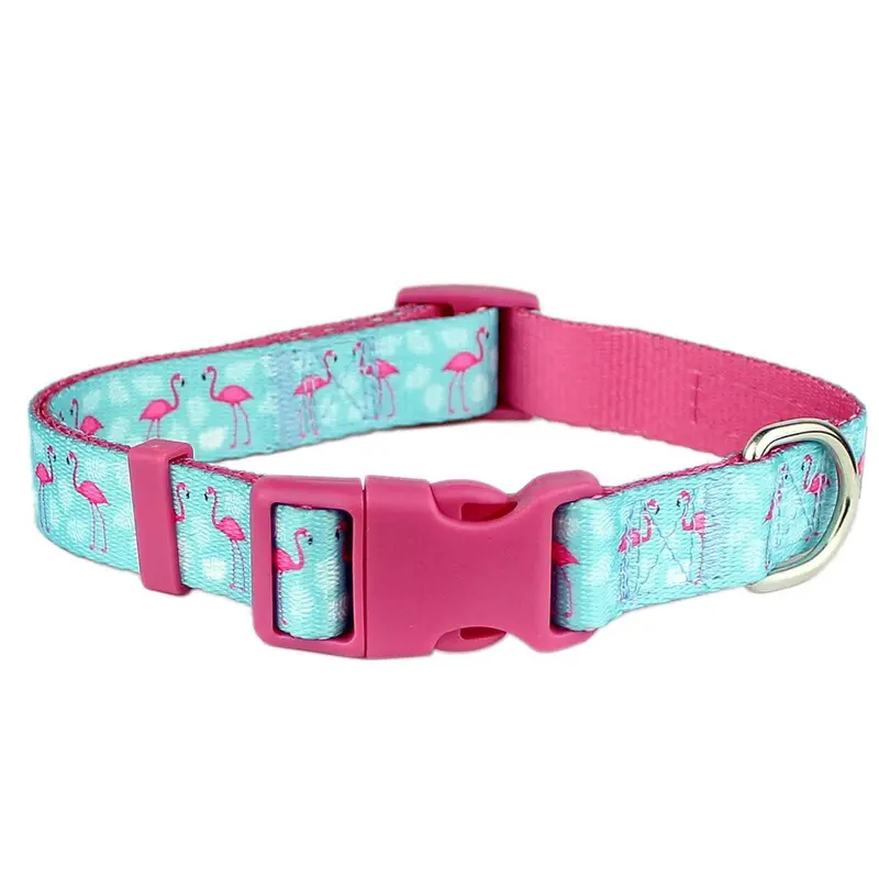 Parisian Pet Flamingos Dog Collar