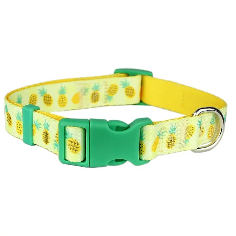 Parisian Pet Pineapples Dog Collar