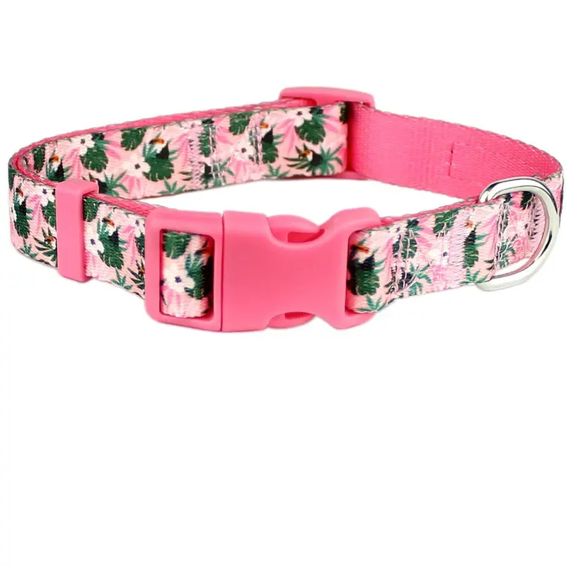 Parisian Pet Tropical Toucans Dog Collar