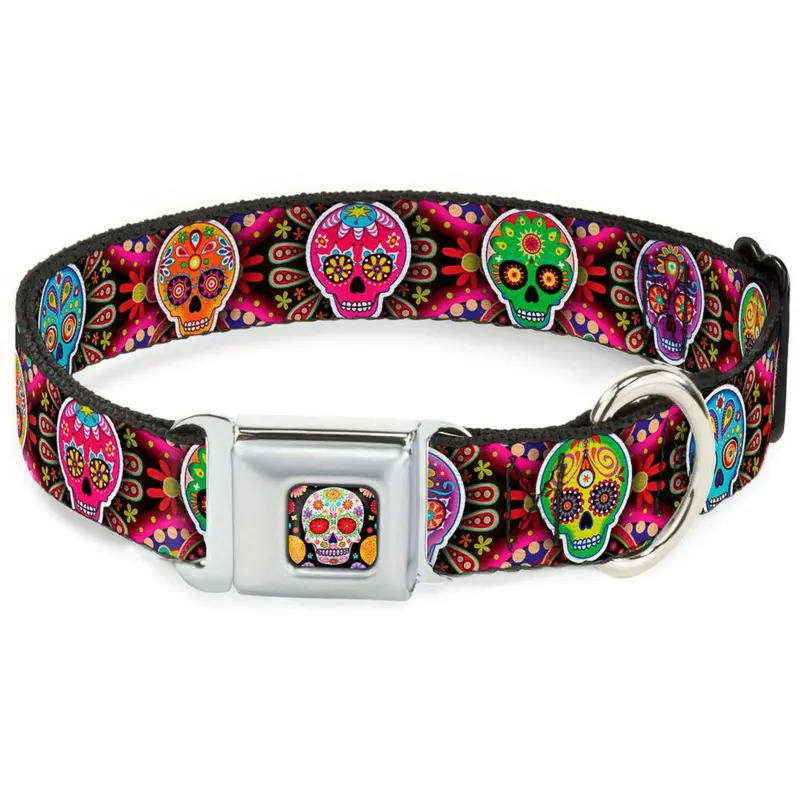 Sugar Skull Seatbelt Buckle Dog Collar by Buckle-Down - Multi Color