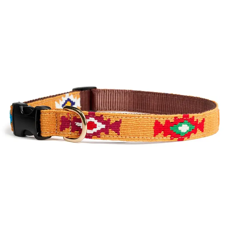 Auburn Leathercrafters a tail we could wag Side-Release Dog Collar - God's Eye Gold