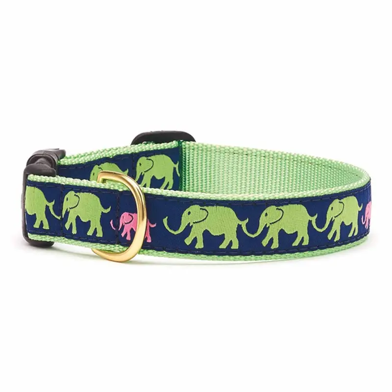 Leader of the Pach Dog Collar by Up Country