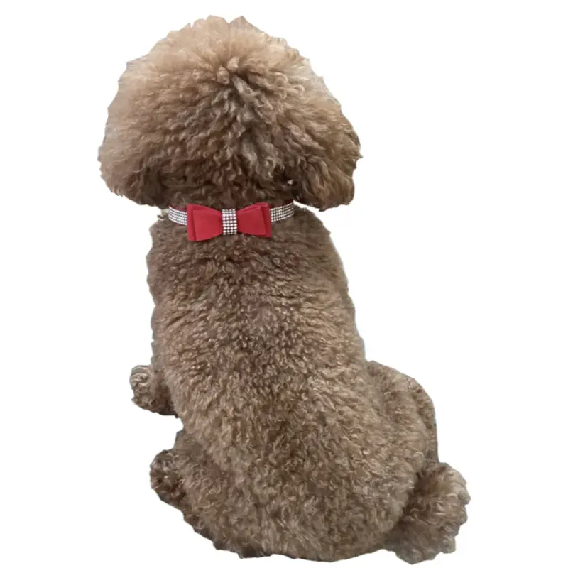 The Dog Squad Rhinestone Dog Collar with Bow - Red
