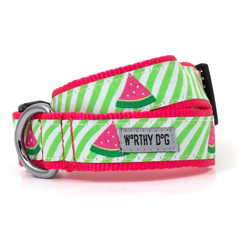 Worthy Dog Green Stripe Watermelon Dog Collar