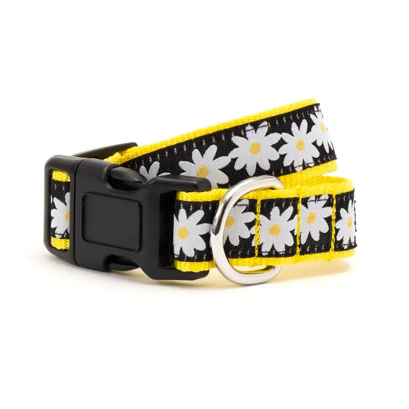 Worthy Dog Lazy Daisy Dog Collar - Black & Yellow