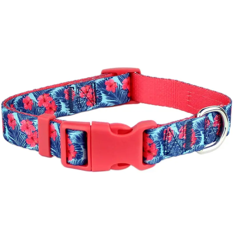 Parisian Pet Hibiscus Pink Dog Collar
