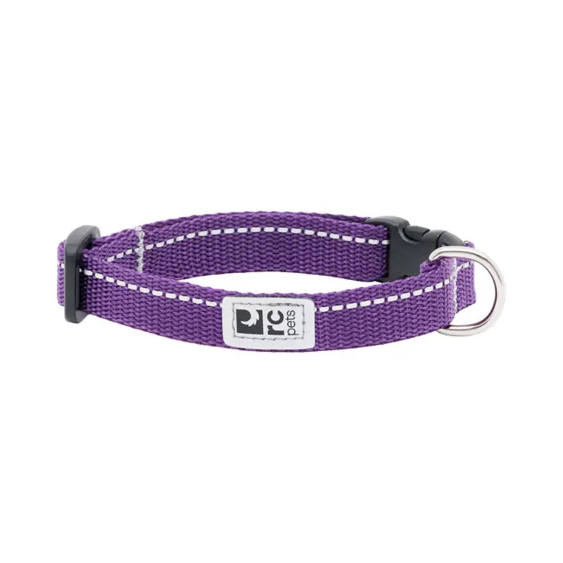 RC Pet Petite Primary Clip Dog Collar - Purple