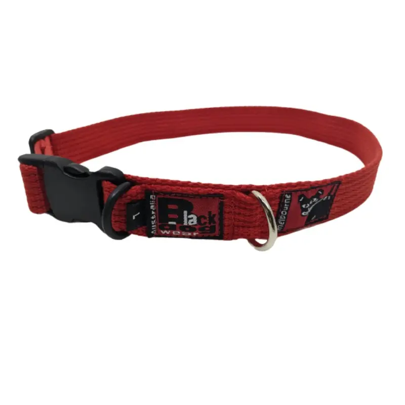Black Wear Dog Standard Collar - Small