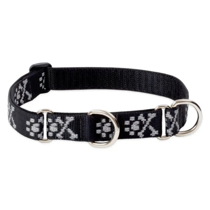 LupinePet Bling Bonz Dog Original Designs Martingale Collar for Training