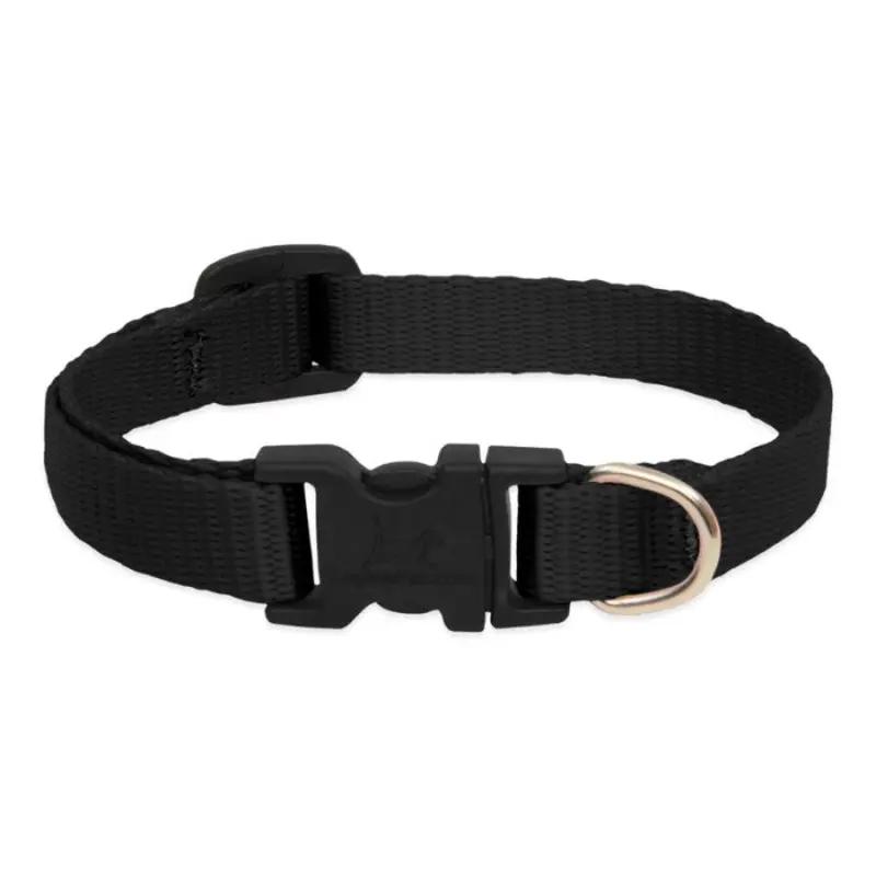 LupinePet Basic Solids Black Adjustable Dog Collar