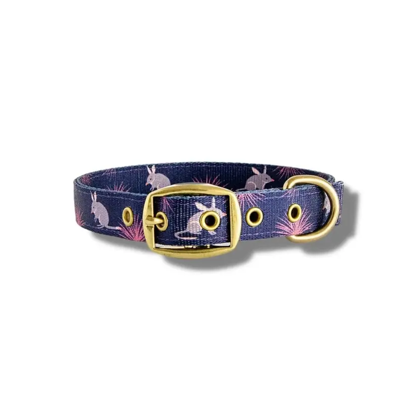 Anipal Billie the Bilby Dog Collar