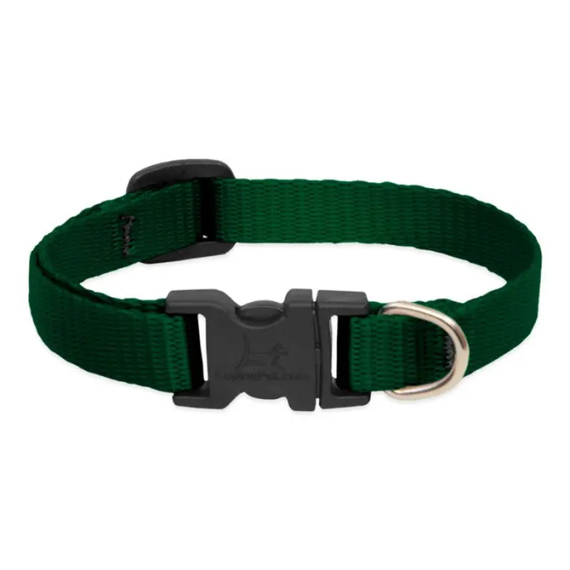 LupinePet Basic Solids Green Adjustable Dog Collar