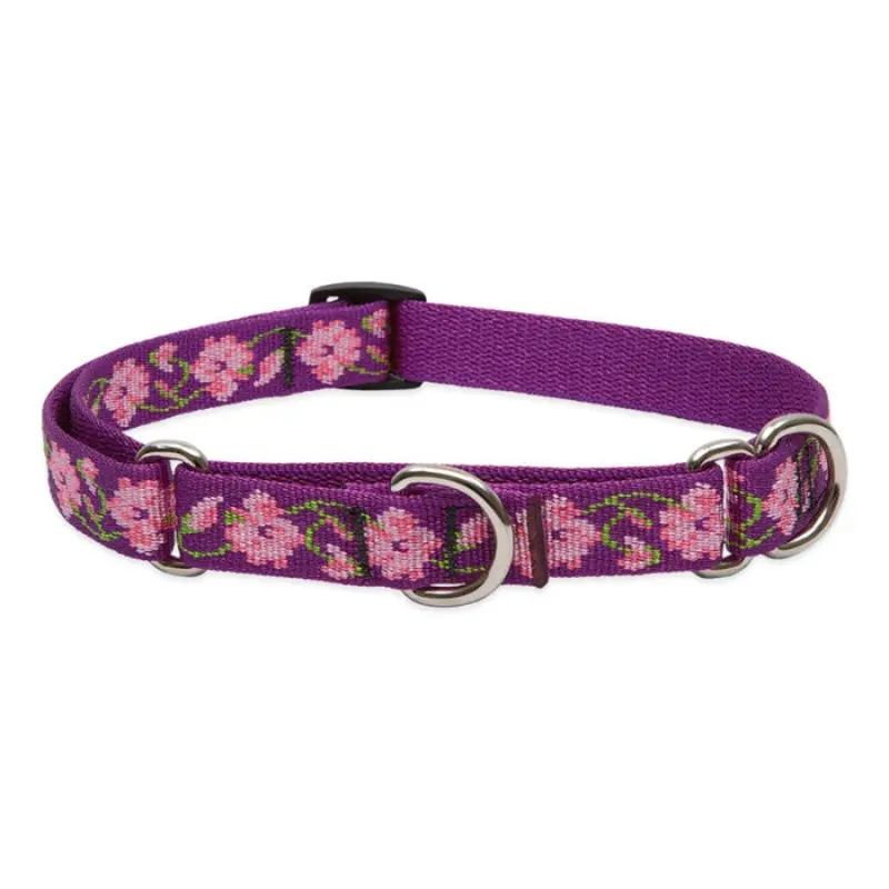 LupinePet Rose Garden Dog Original Designs Martingale Collar for Training