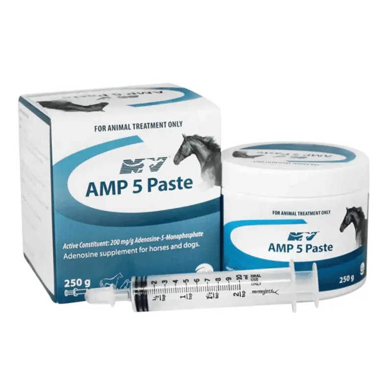 Amp5 Paste Pot