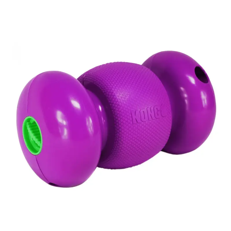 KONG Replay Treat Dispenser