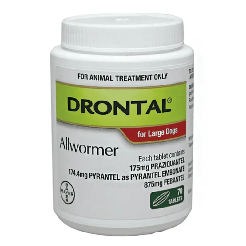 Drontal Allwormer Tablets for Large Dogs
