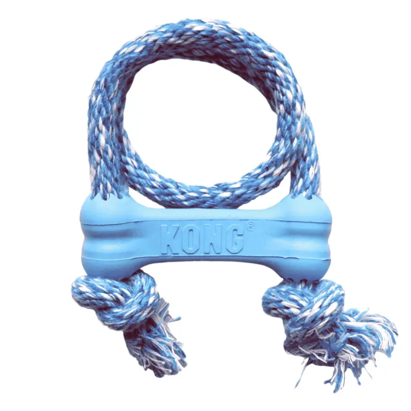 KONG Puppy Goodie Bone w/ Rope