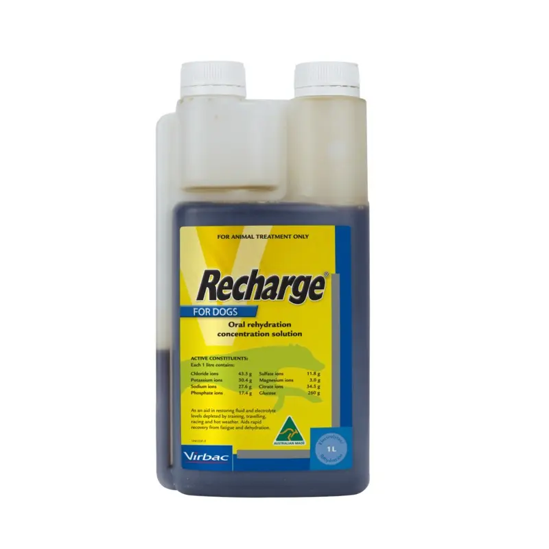 Recharge Greyhound