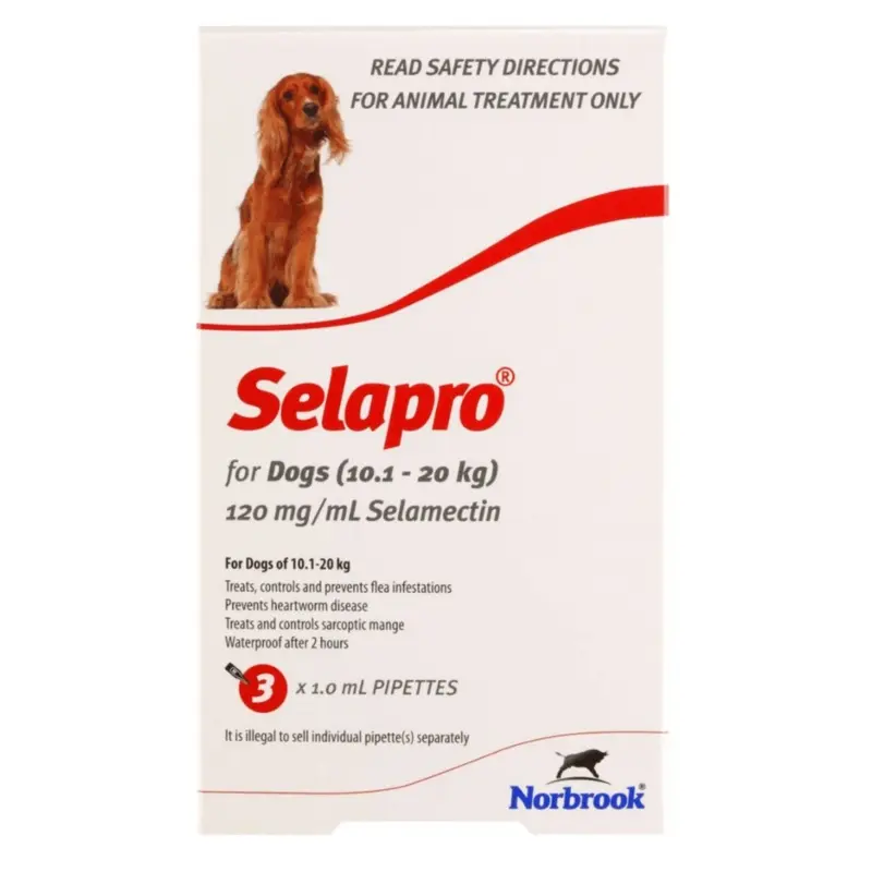 Selapro Spot On for Medium Dogs 10-20kg