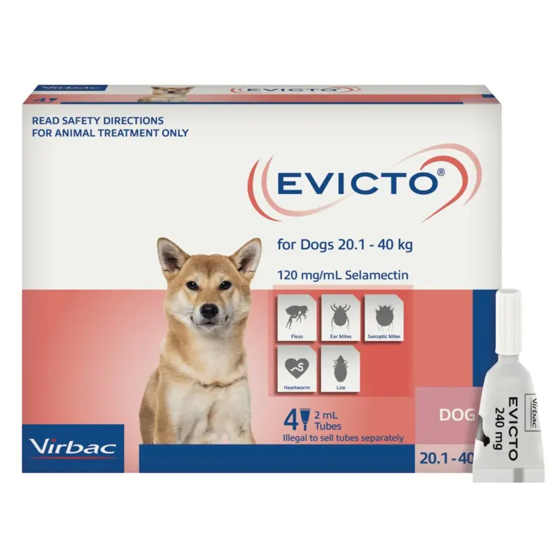 Evicto Spot-On for Large Dogs (20-40kg)