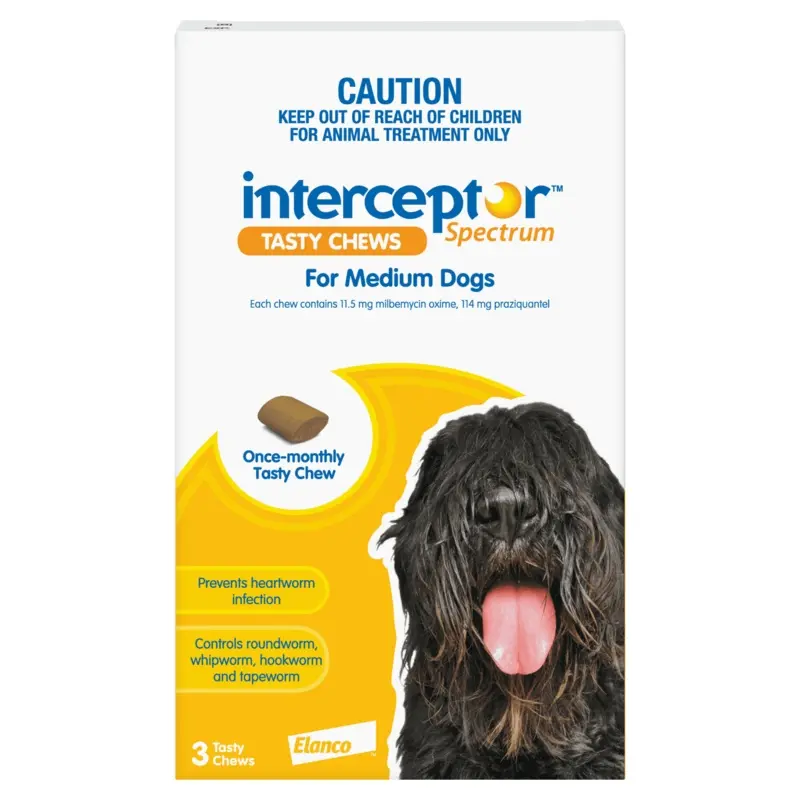 Interceptor Spectrum Medium Dogs (11-22kg) Yellow