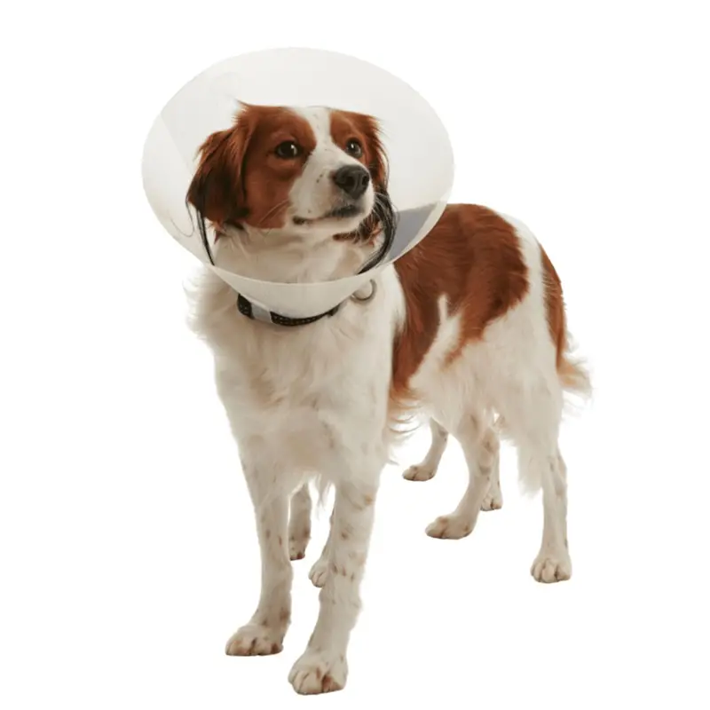 Kruuse Buster Elizabethan Clic Collar