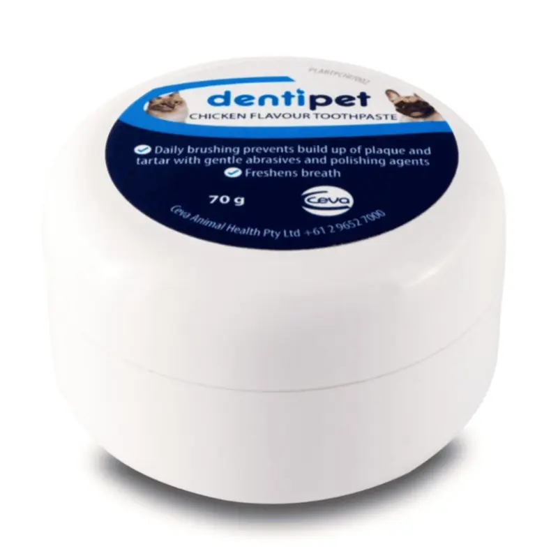 Dentipet Toothpaste Chicken Flavour
