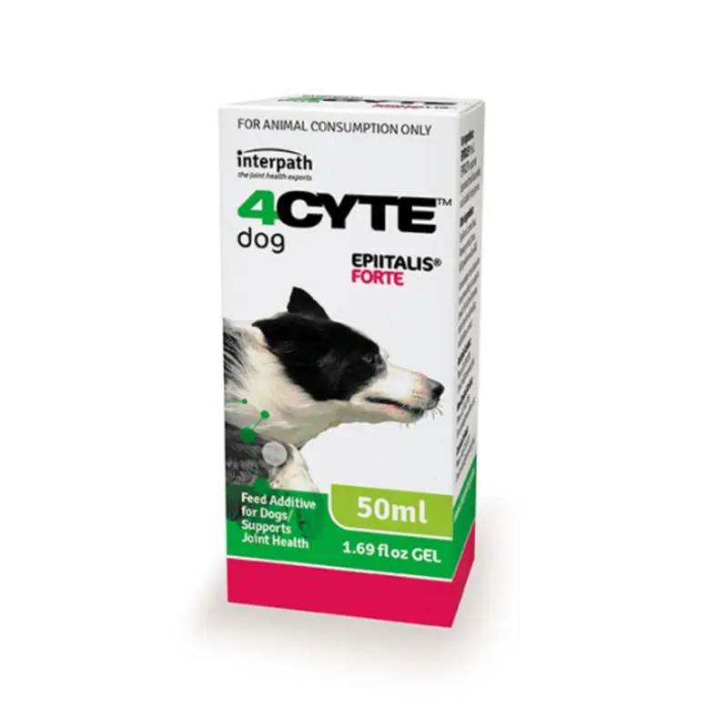 4CYTE Epiitalis Forte Gel for Dogs