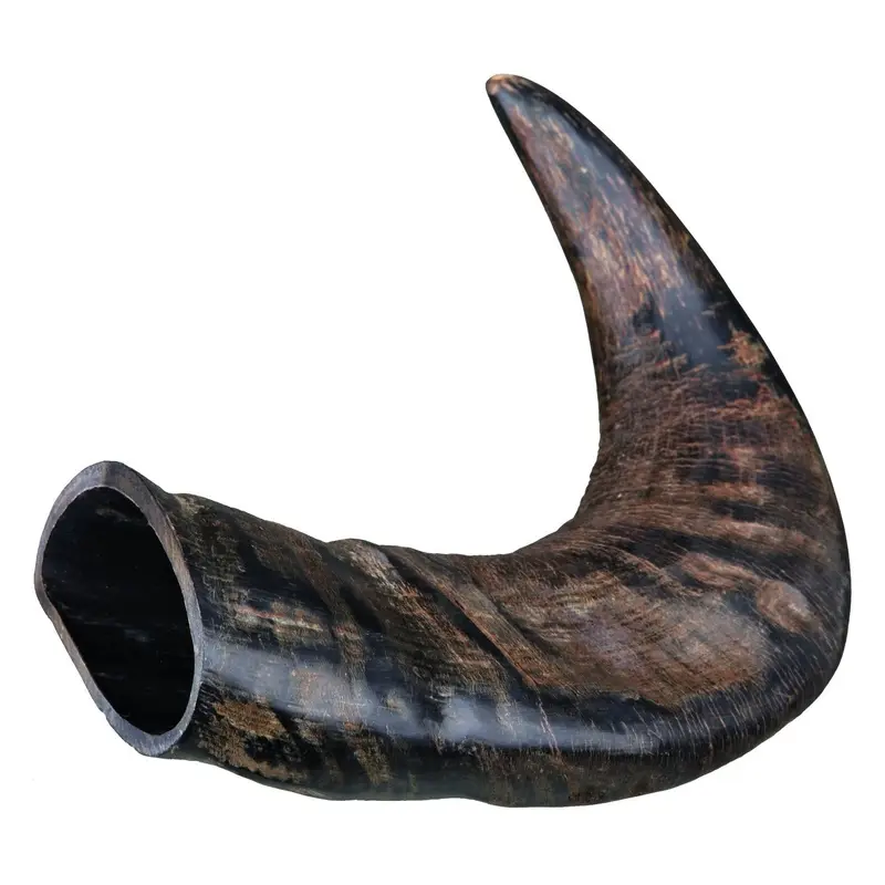 Trixie Genuine buffalo chewing horn, medium