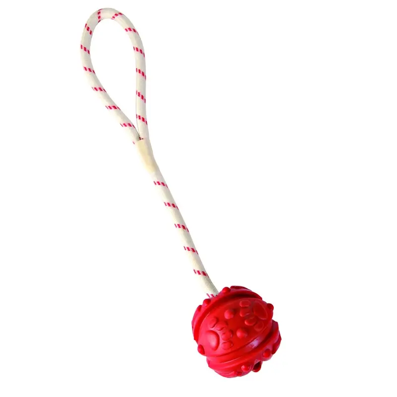 Trixie Ball on a rope, natural rubber, floatable, diam. 7 cm/35 cm