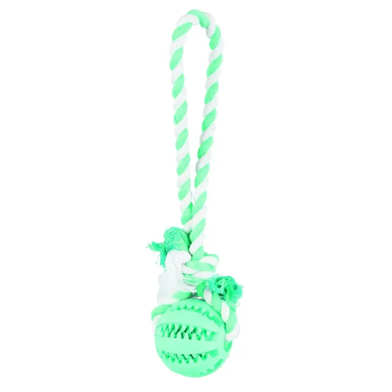 Trixie Denta Fun Natural rubber ball on a rope, nat. rub., diam. 7 cm/24 cm