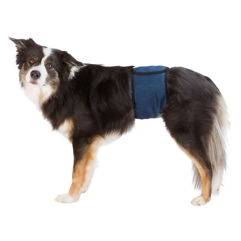 Trixie Belly band for male dogs, M: 45-55 cm, dark blue