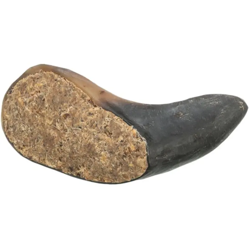 Trixie Buffalo horn filled with buffalo pizzle & tendon, 1014 cm