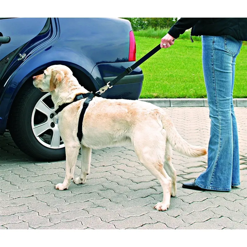Trixie Car harness, M: 50-70 cm, black
