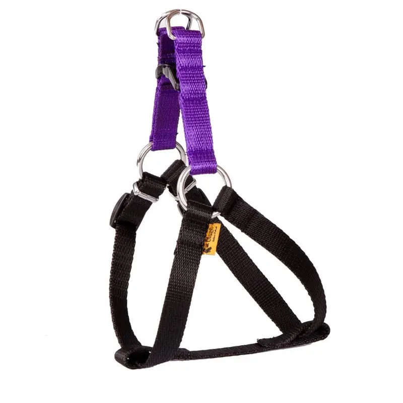 Dingo Energy Harness Violet