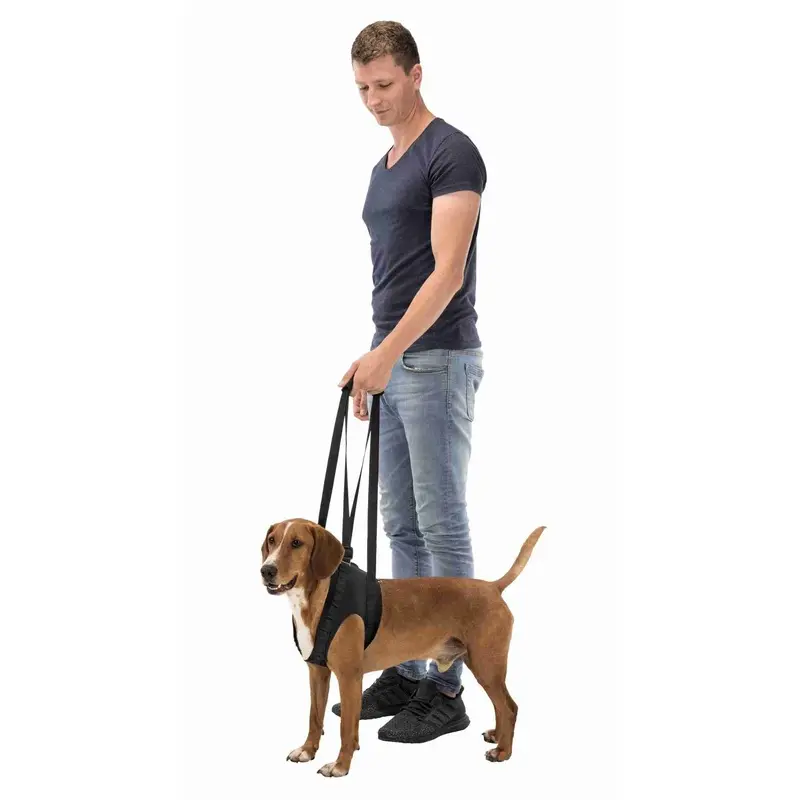 Trixie Walking aid, L: 65-75 cm, black