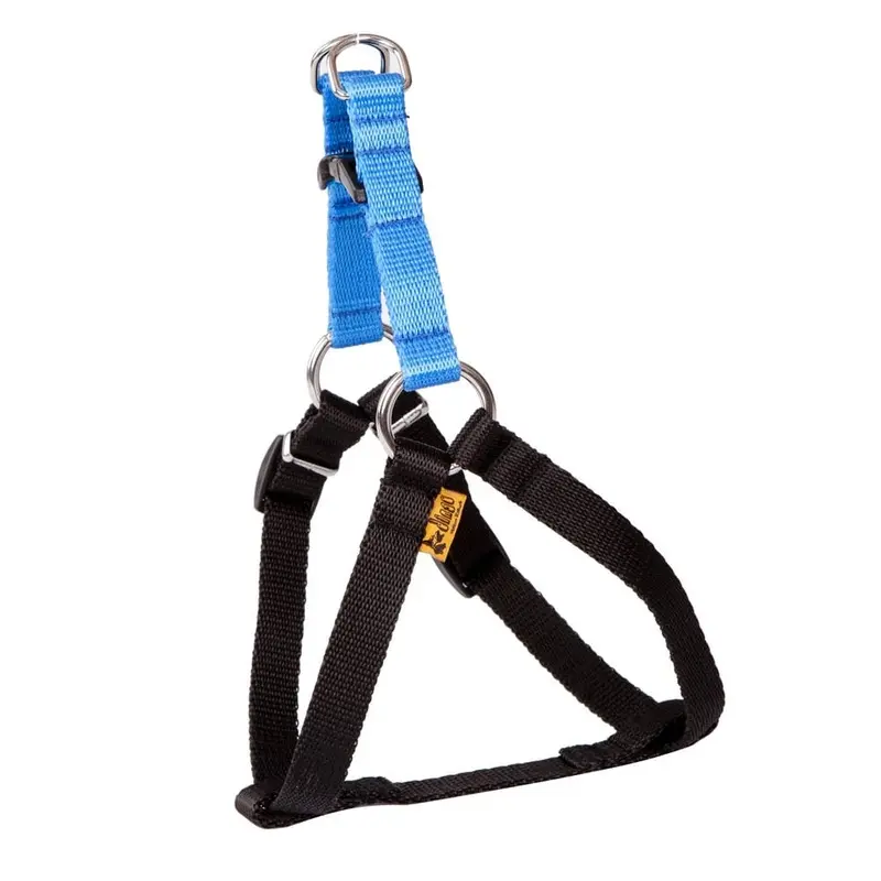 Dingo Energy Harness Blue