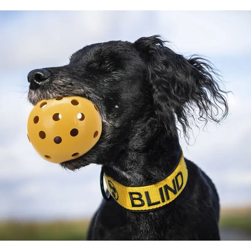 Trixie Holey ball with bell, natural rubber,  7 cm