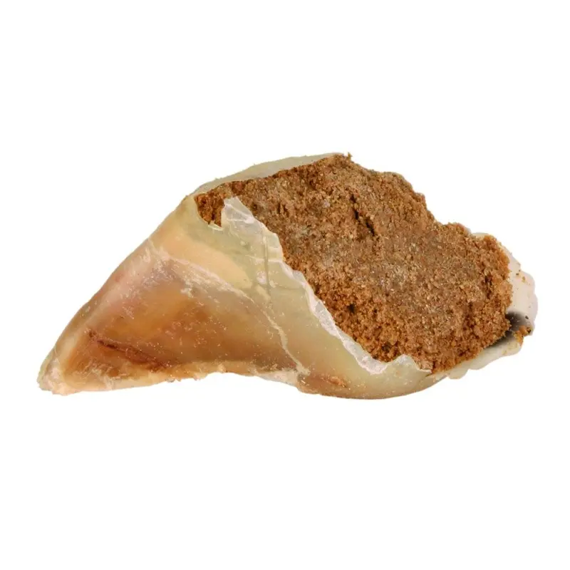 Trixie Chewing hoof, with meat filling, 115 g
