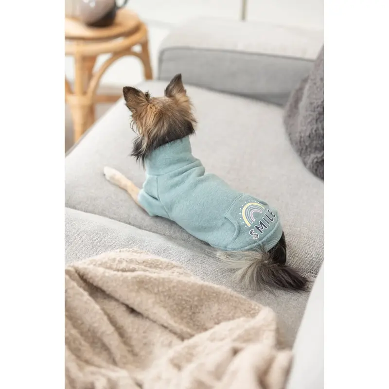 Trixie Littleton sweatshirt, XS: 30 cm, mint