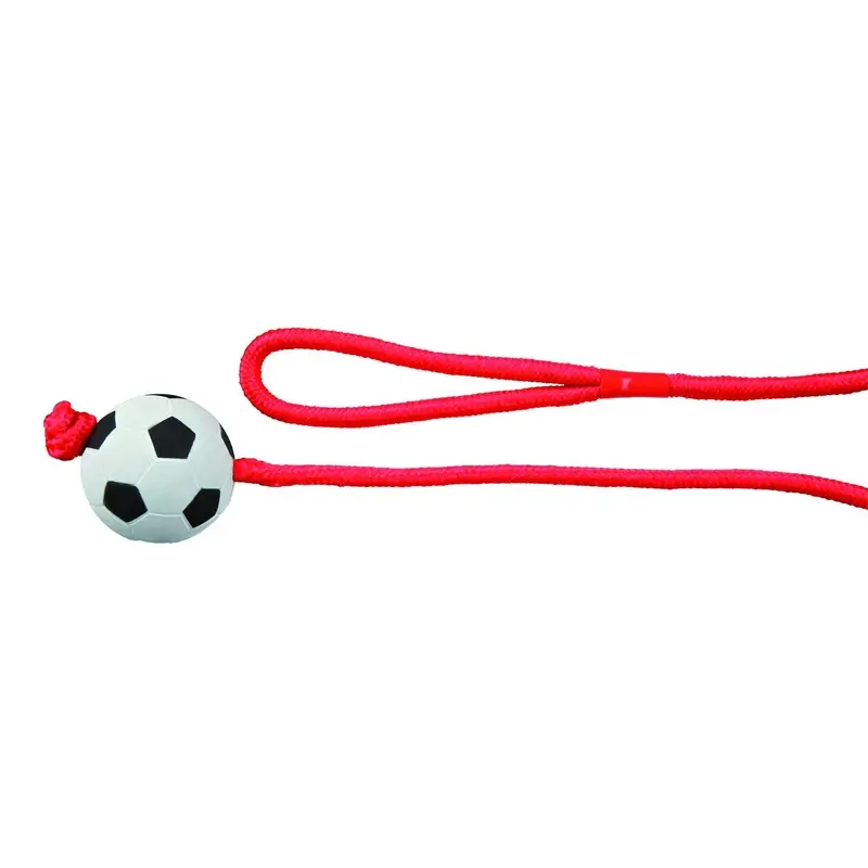 Trixie Football on a rope, foam rubber, diam. 6 cm/1.00 m