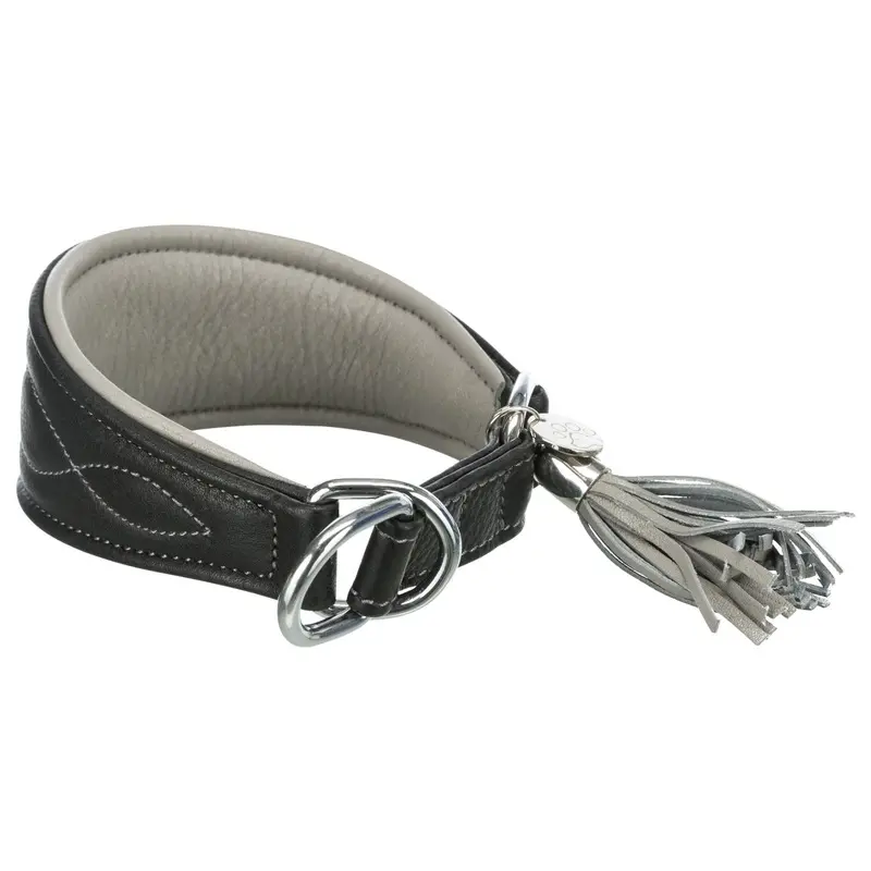 Trixie Active Comfort collar for greyhounds, XS: 21??26 cm/40 mm, black/grey