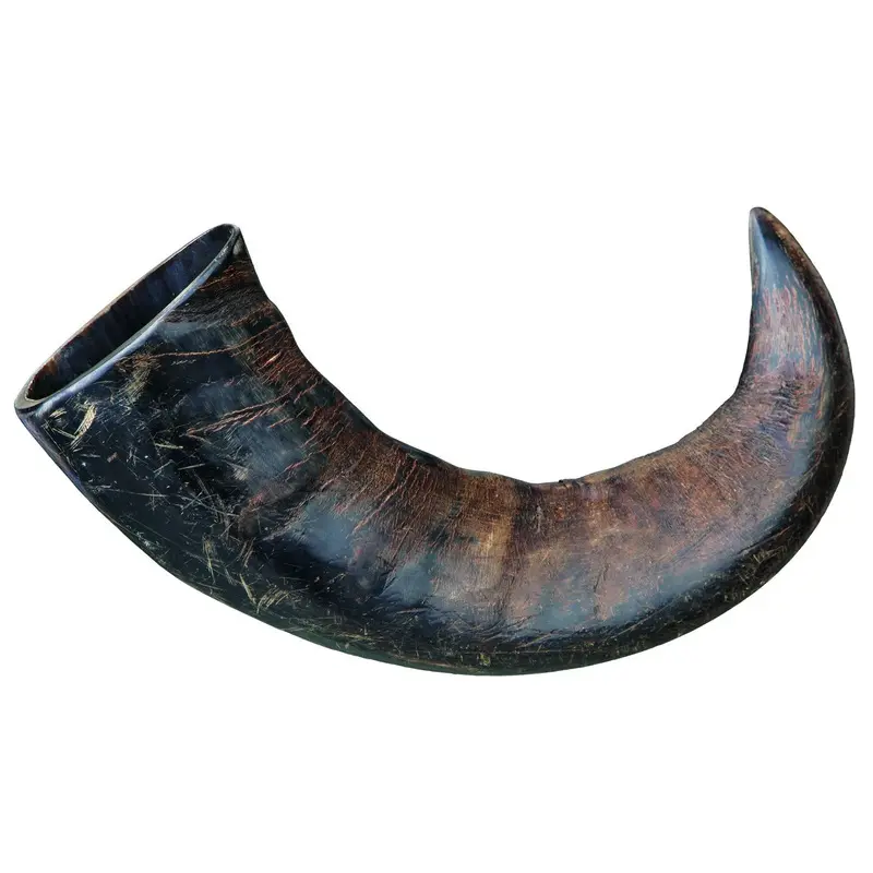 Trixie Genuine buffalo chewing horn, large
